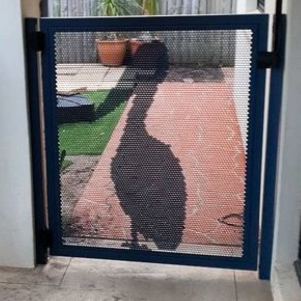 Pool Perf Pelican Perforated Gate