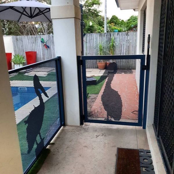 Pool Perf Pelican Perforated Gate