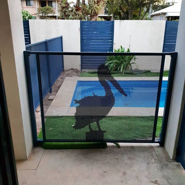 Pool Perf Bracket Fit Brackets